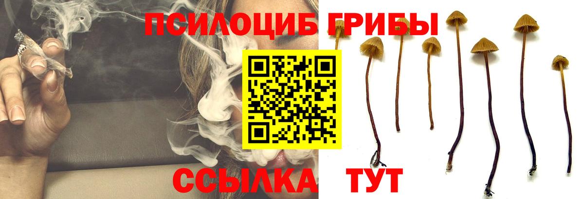 Долгопрудный  Галлюциногенные грибы ЛСД  Вход с VPN  Галлюциногенные грибы GOLDEN TEACHER 
